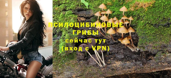 кокс Баксан